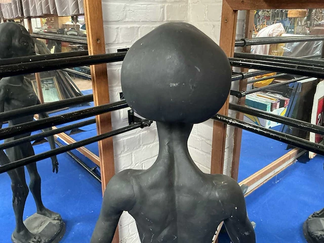 Beeld van alien - afbeelding 14 van  14