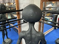 Beeld van alien - afbeelding 14 van  14