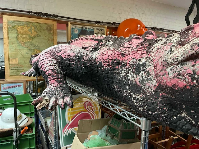 Beeld van krokodil - afbeelding 7 van  12