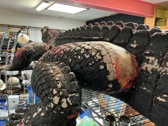 Beeld van krokodil - afbeelding 10 van  12