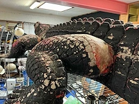 Beeld van krokodil - afbeelding 10 van  12