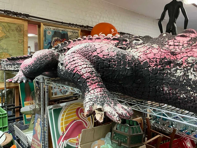 Beeld van krokodil - afbeelding 11 van  12