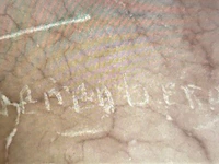 Beeldhouwwerk - afbeelding 6 van  6
