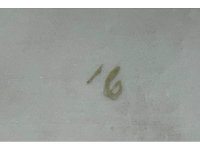 Beeldje in biscuit - afbeelding 7 van  7