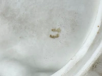 Beeldje in europese biscuit - afbeelding 9 van  9
