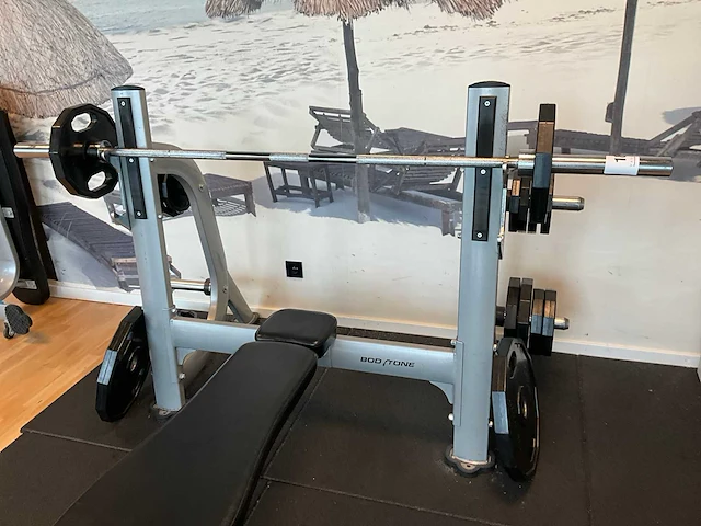 Benchpress bodytone + bar en ca. 16 gewichten - afbeelding 6 van  9
