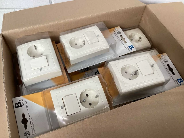 Berker s1 inbouwcombinatie met randaarde (33x) - afbeelding 1 van  3