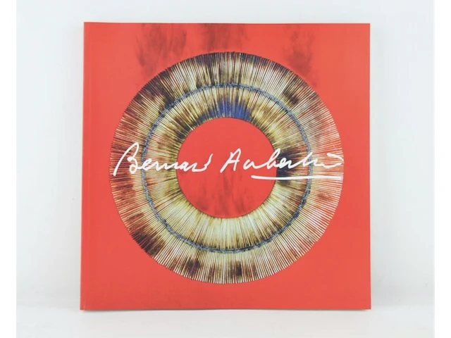 Bernard aubertin : dessin de feu sur aluminium - afbeelding 3 van  14