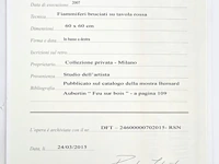Bernard aubertin : dessin de feu sur aluminium - afbeelding 14 van  14
