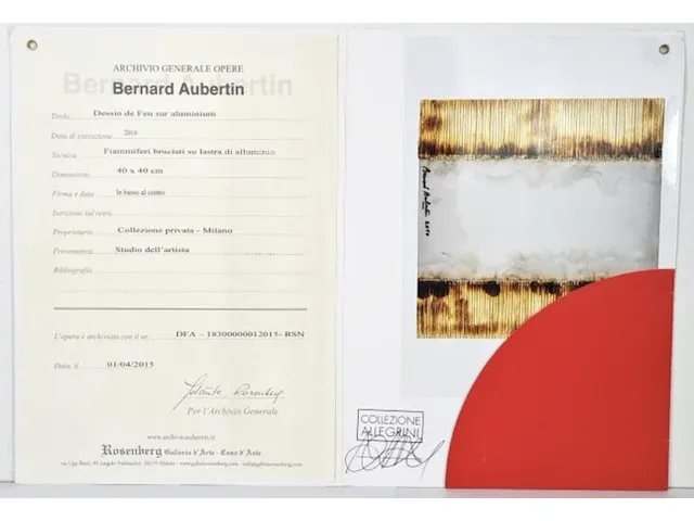 Bernard aubertin : dessin de feu sur aluminium - afbeelding 8 van  14