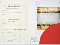Bernard aubertin : dessin de feu sur aluminium - afbeelding 8 van  14