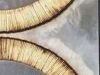 Bernard aubertin : dessin de feu sur aluminium - afbeelding 4 van  13