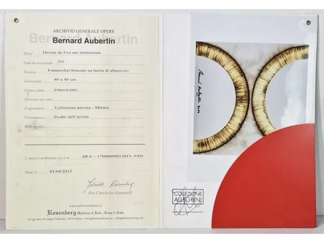 Bernard aubertin : dessin de feu sur aluminium - afbeelding 6 van  13