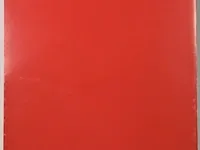 Bernard aubertin : dessin de feu sur aluminium - afbeelding 9 van  13