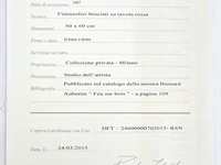 Bernard aubertin : dessin de feu sur aluminium - afbeelding 4 van  14