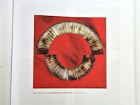 Bernard aubertin : dessin de feu sur aluminium - afbeelding 10 van  14