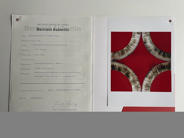 Bernard aubertin : dessin de feu sur aluminium - afbeelding 2 van  3