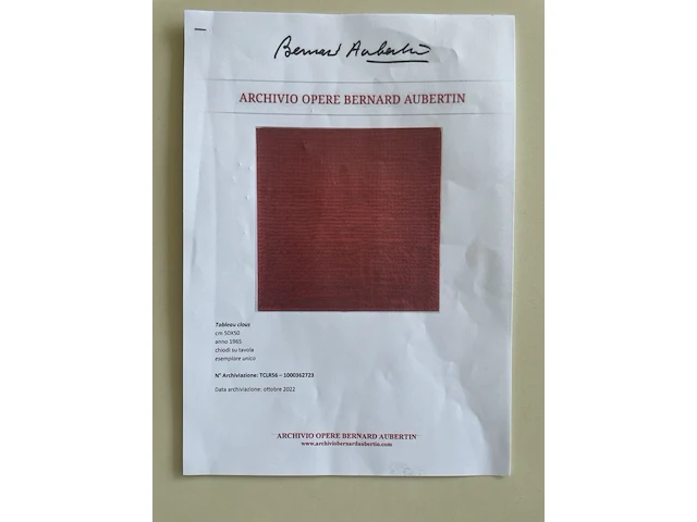 Bernard aubertin : tableau clous - afbeelding 3 van  23