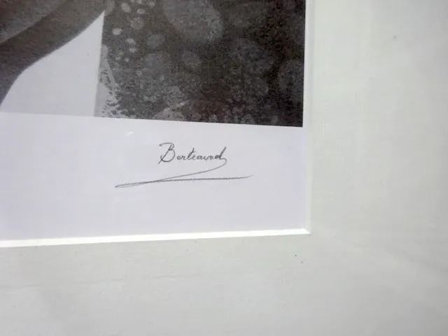 Bertrand raymond - erotiek - afbeelding 2 van  3