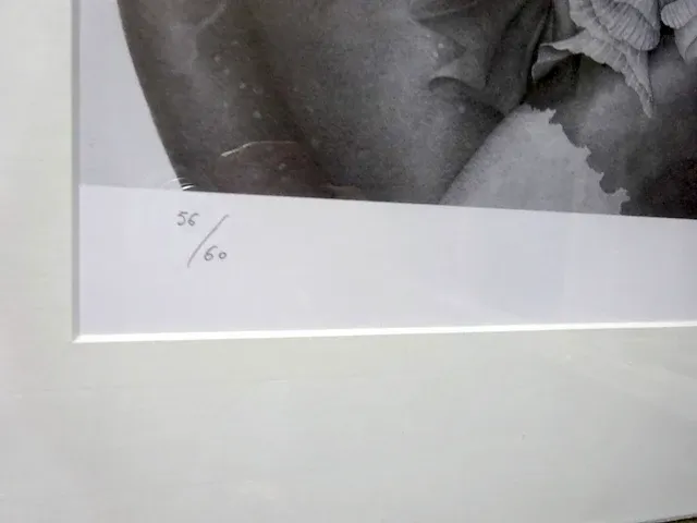 Bertrand raymond - erotiek - afbeelding 3 van  3