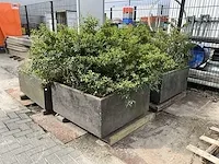 Betonnen plantenbak (4x) - afbeelding 1 van  4