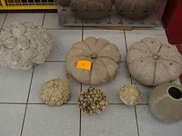 Betonnen sierfruit