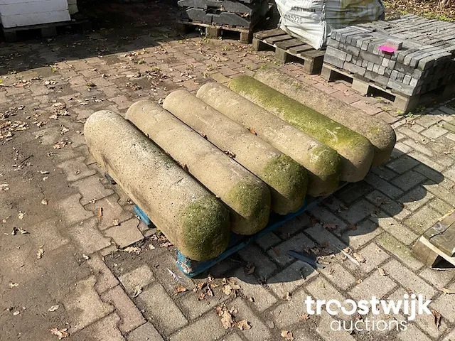 Betonnen varkensrug - afbeelding 1 van  2