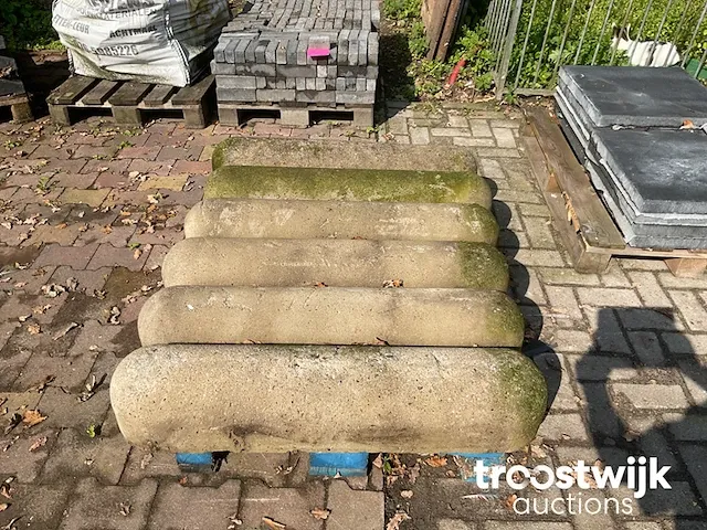 Betonnen varkensrug - afbeelding 2 van  2