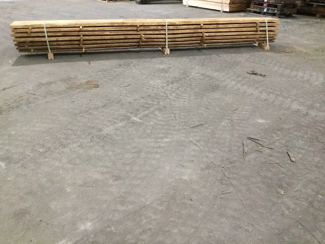 Beuken stam verzaagd kd - afbeelding 2 van  11