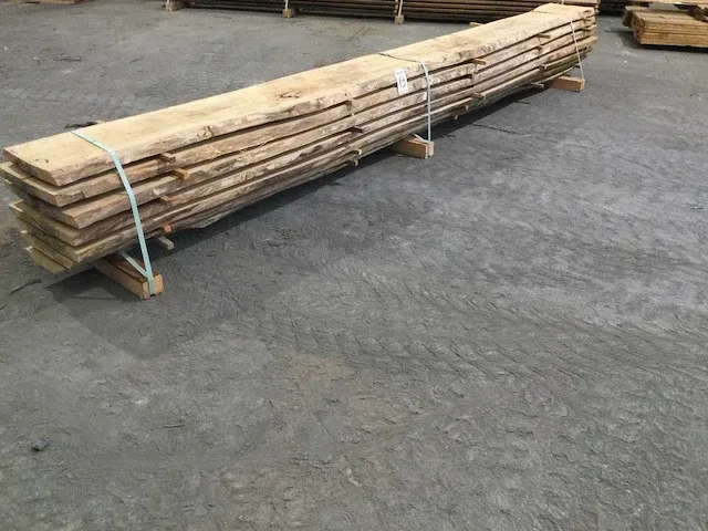Beuken stam verzaagd kd - afbeelding 1 van  11