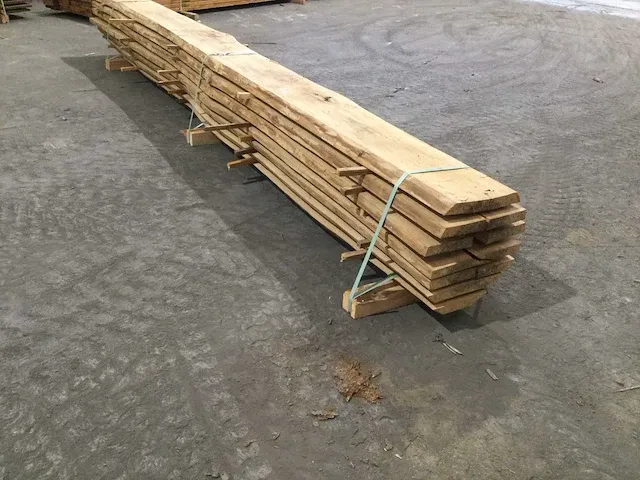 Beuken stam verzaagd kd - afbeelding 4 van  11