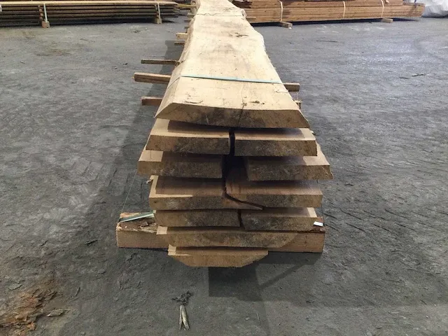 Beuken stam verzaagd kd - afbeelding 5 van  11