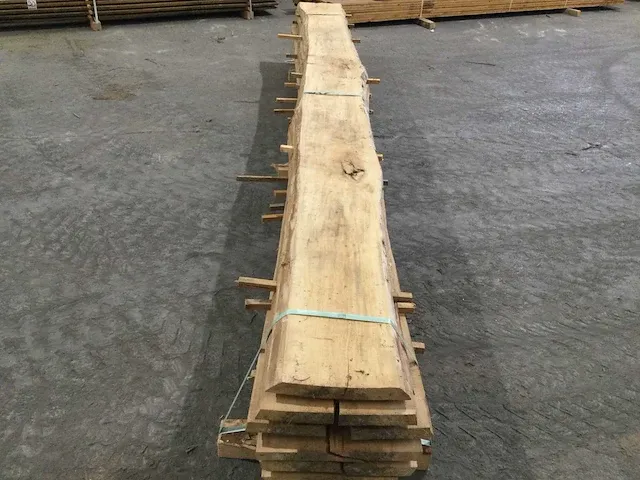 Beuken stam verzaagd kd - afbeelding 7 van  11