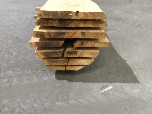 Beuken stam verzaagd kd - afbeelding 10 van  11