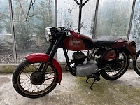 Bianchi barberi,1954