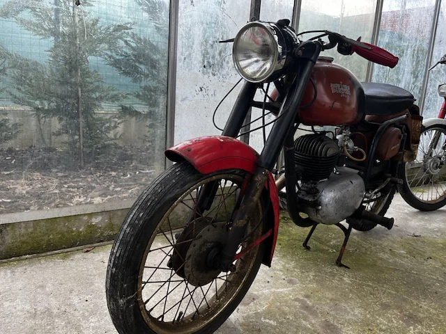 Bianchi barberi,1954 - afbeelding 2 van  9