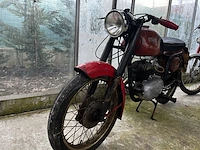 Bianchi barberi,1954 - afbeelding 2 van  9