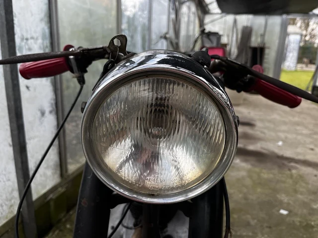 Bianchi barberi,1954 - afbeelding 3 van  9