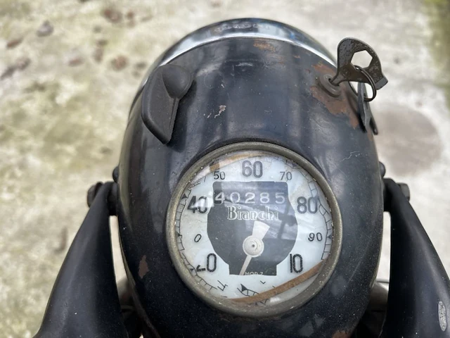 Bianchi barberi,1954 - afbeelding 4 van  9
