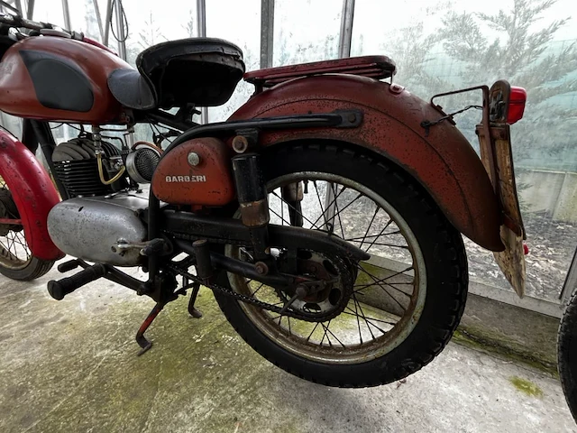Bianchi barberi,1954 - afbeelding 7 van  9