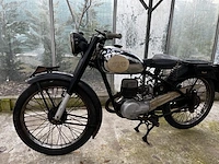 Bianchi barberi,1954