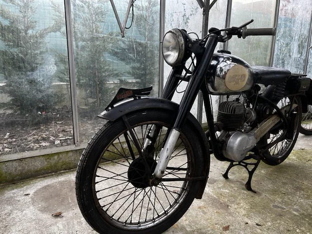 Bianchi barberi,1954 - afbeelding 3 van  10