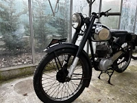 Bianchi barberi,1954 - afbeelding 3 van  10