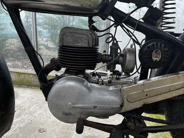 Bianchi barberi,1954 - afbeelding 6 van  10
