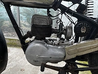 Bianchi barberi,1954 - afbeelding 6 van  10