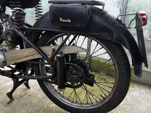 Bianchi barberi,1954 - afbeelding 7 van  10