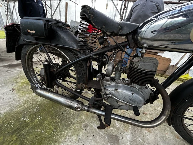 Bianchi barberi,1954 - afbeelding 10 van  10