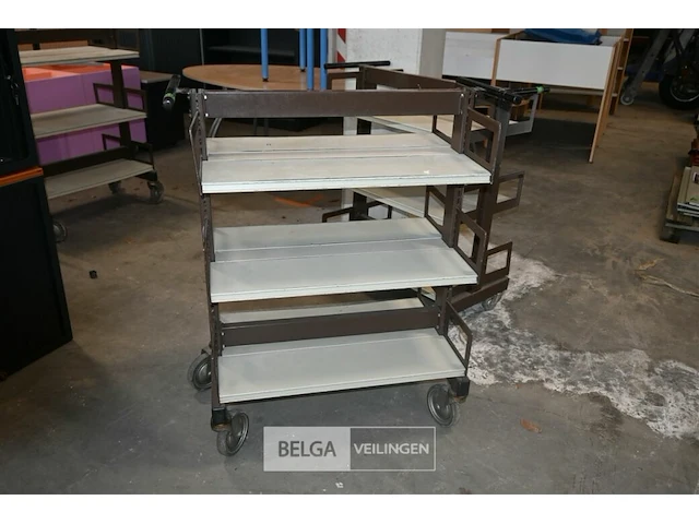 Bibliotheekkar - afbeelding 1 van  5