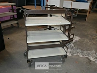 Bibliotheekkar - afbeelding 1 van  5