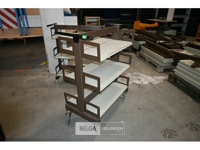 Bibliotheekkar - afbeelding 2 van  5